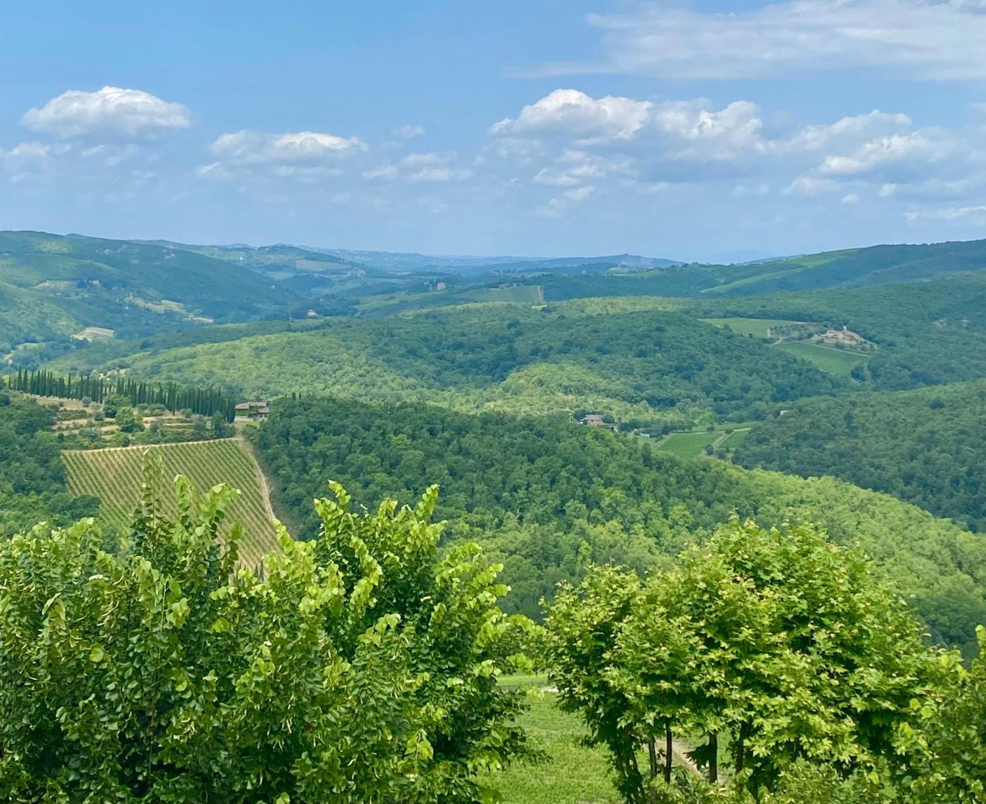 Casa Marina Villa Radda in Chianti Dış mekan fotoğraf